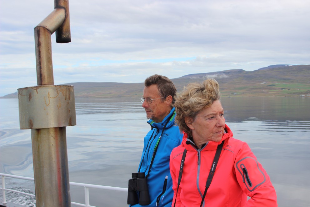 Samspil landsela og ferðamanna á Vatnsnesi