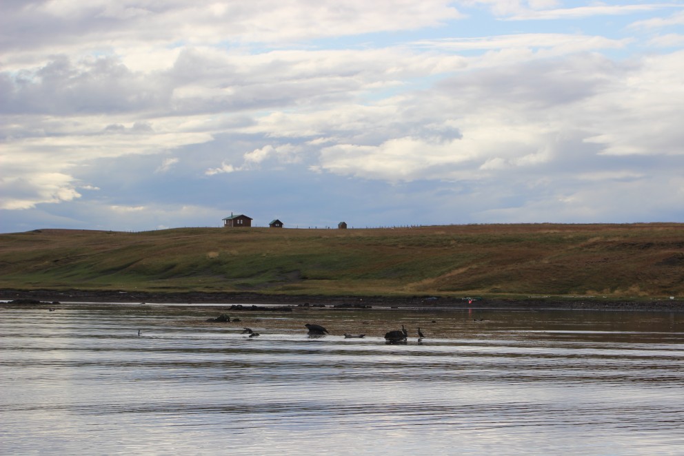 Hitaveituframkvæmdir í Húnaþingi vestra í útboði