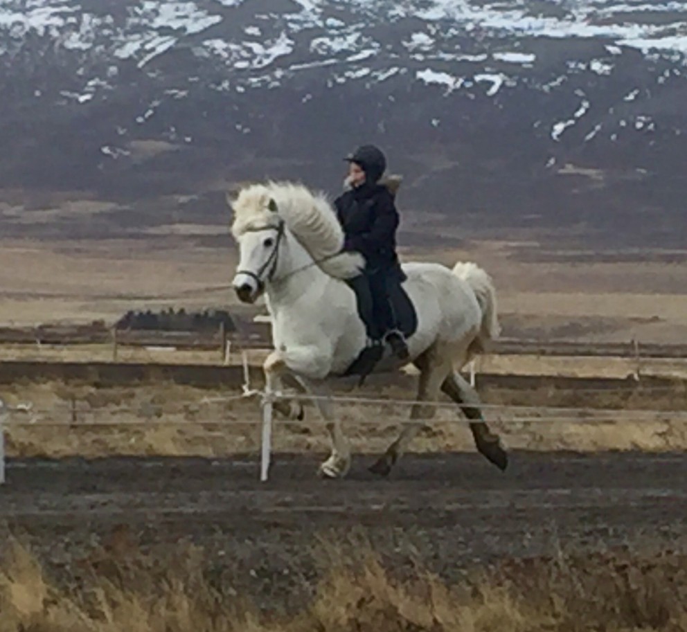 Þórgunnur Þórarinsdóttir á Golu. Myndir: Heiðrún Ósk Eymundsdóttir