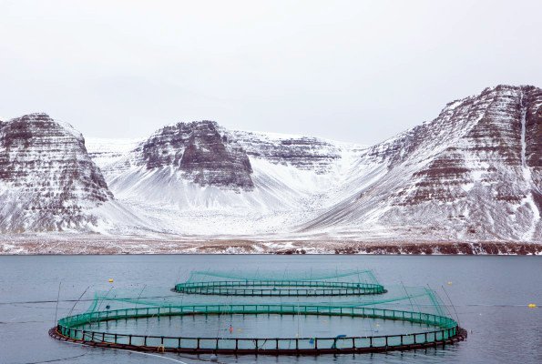 Sjókvíar í Arnarfirði. Mynd: arnarlax.is