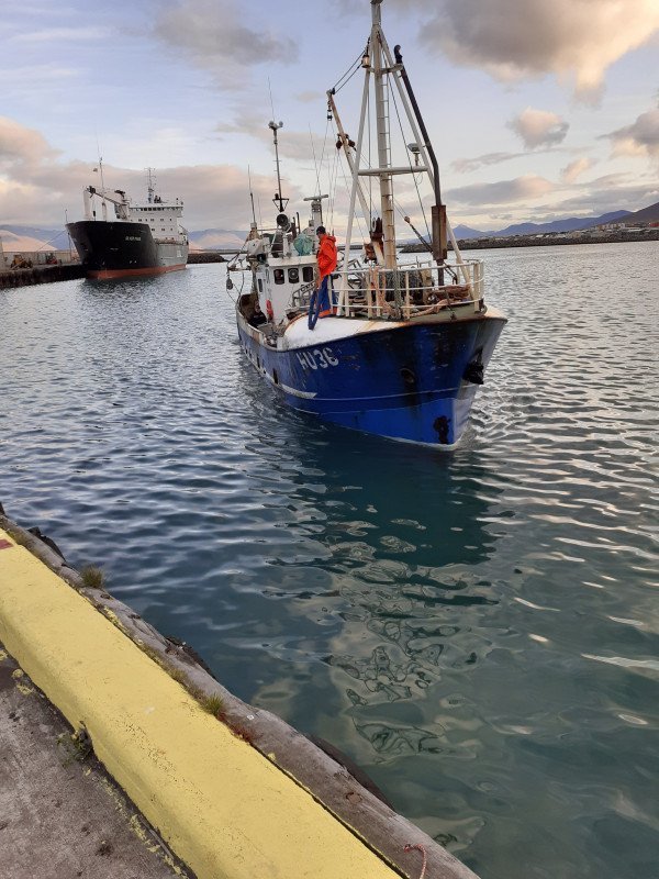 Hér sést Gummi á Onna HU 36 sem landaði 25 tonnum í síðustu viku í Skagafjarðarhöfn.