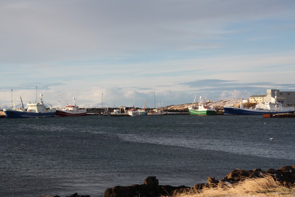 Líf og fjör í Skagastrandarhöfn