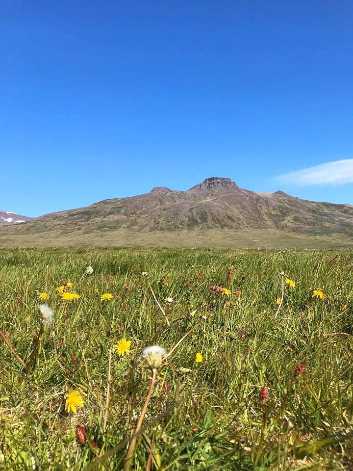 Nú mæta allir sem vettlingi geta valdiið og láta hendur standa fram úr ermum. MYND AF SÍÐU SKAGASTRANDAT