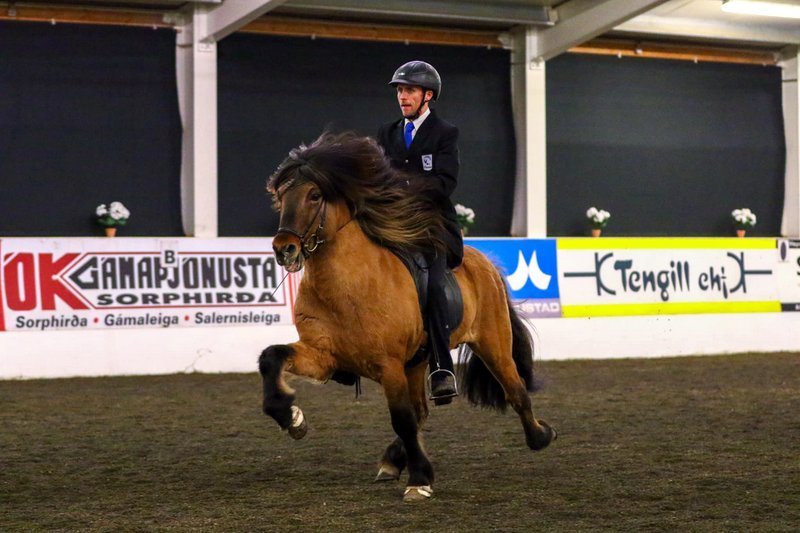 Mynd af Facebooksíðu Hestamannafélagsins Skagfirðings.