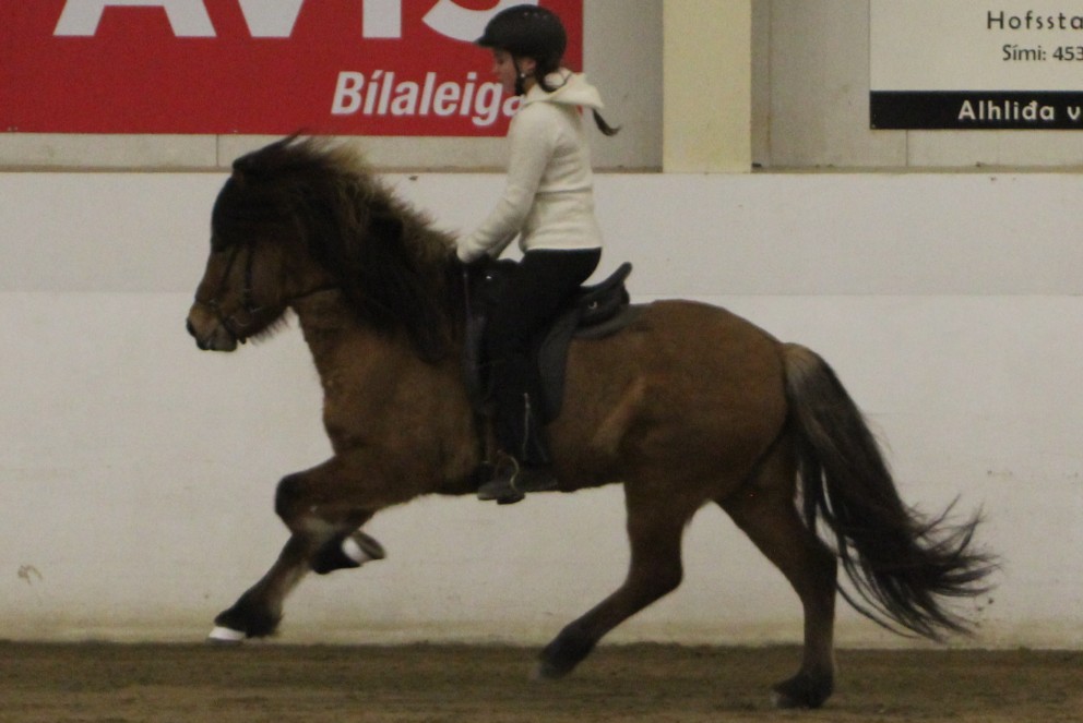 KS deildin á miðvikudaginn - leiðréttur ráslisti