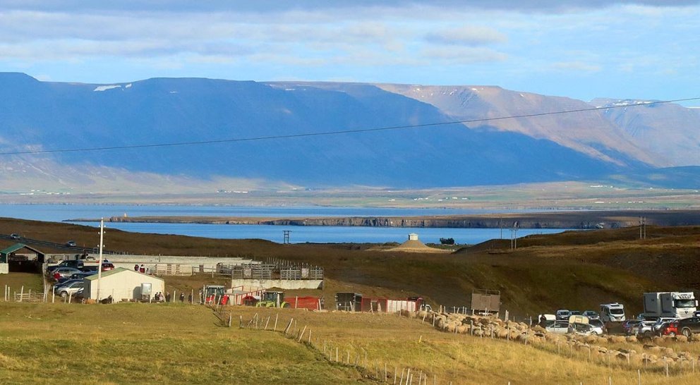 Séð yfir Skarðsrétt og Hegranes fyrir miðri mynd. MYND: ÓAB
