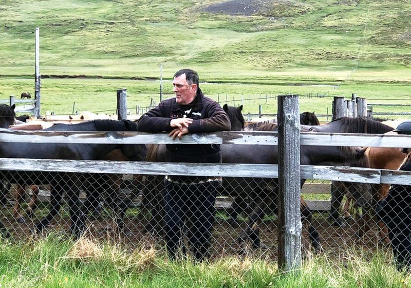 Hestamaðurinn Skarphéðinn spáir í hrossin.