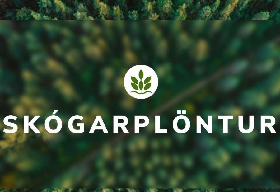 Mynd tekin af ssnv.is