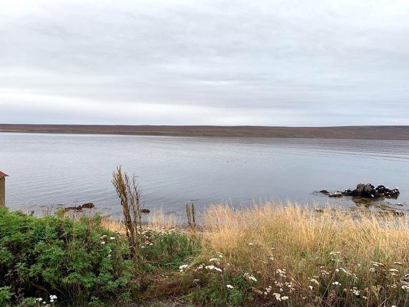Myndir af vettvangi sem sýnir að ástandið hefur batnað til muna frá því í fyrra, líkt og mynd sem birtist með frétt ruv.is um málið.