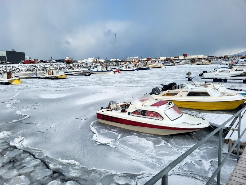 Smábátahöfnin á Sauðárkróki í dag. Mynd: PF.