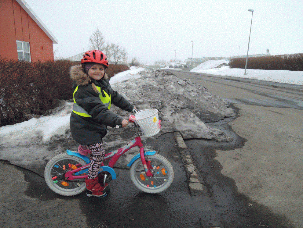 Snjóruðningar byrgja víða sýn