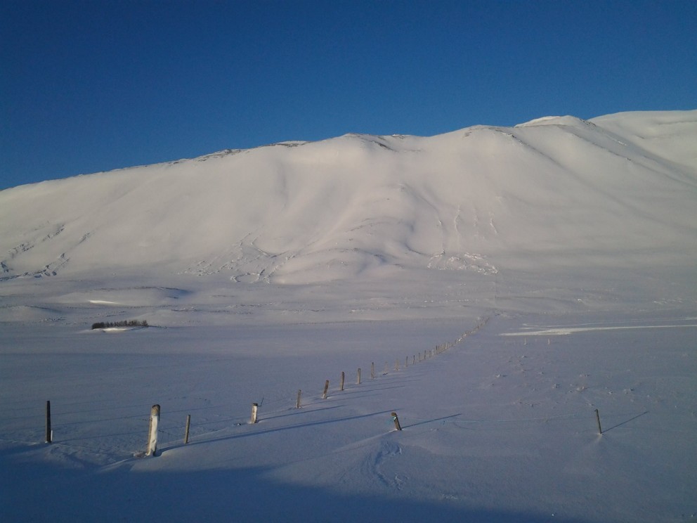 Nokkrar spýjur í Óslandshlíð