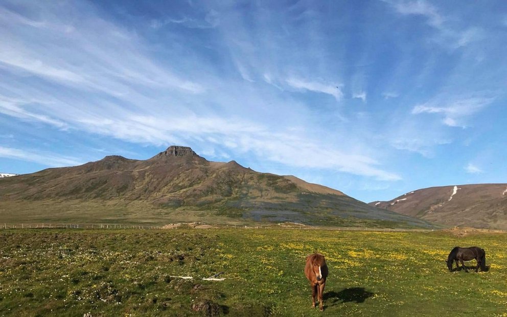 Spákonufell. MYND AF SKAGASTRÖND.IS