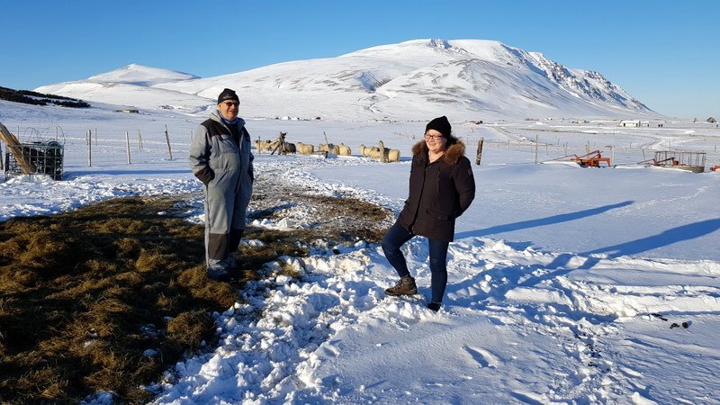 Á góðum degi á Nöfum, Stefán og Sigurjóna Skarphéðinsbörn við gegningar en þau hafa haldið kindur í áratugi. Mynd: PF