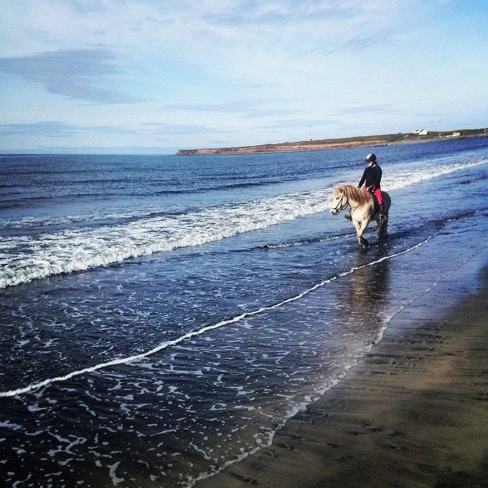 Reiðtúr í Fljótunum. MYND: LANGHÚS FARM