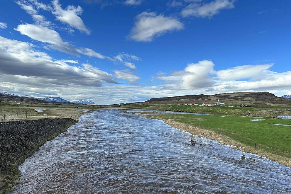 Barmafull Svartá/Húseyjarkvísl seinni partinn í dag. Reykir til hægri. MYND: ÓAB
