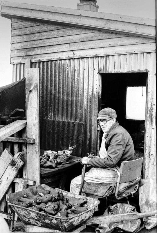 Mynd af viðburðasíðu Sviðamessu.