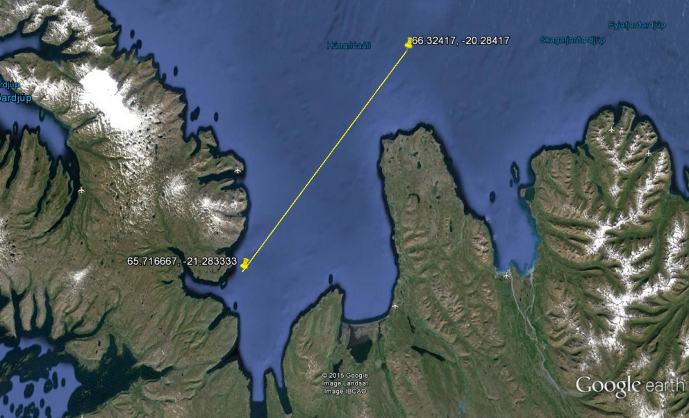 Víðförull rauðmagi með rafeindamerki