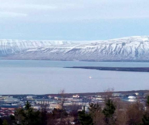 Þorleifur á netaralli. Aðsend mynd.