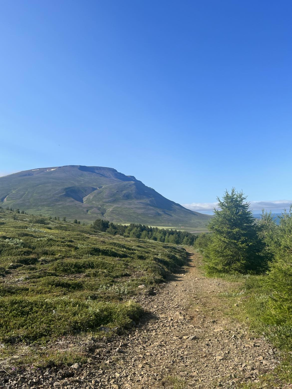 Frá hlaupaleiðinni í Skógarhlíð. Mynd: Aðsend