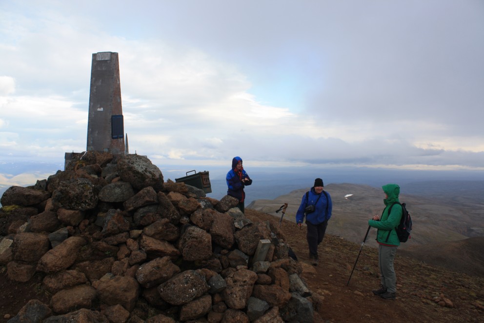Gestkvæmt á Mælifellshnjúk