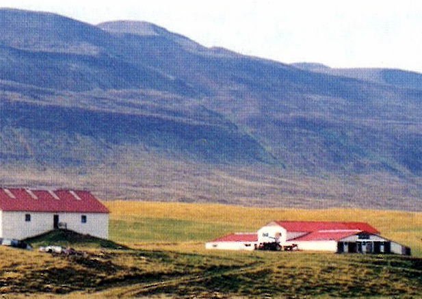 Mynd: Ípishóll 20. september 1999. Í baksýn eru Vesturfjöllin ofan Sæmundarhlíðar. Konungsgilið til vinstri á mynd. Mynd ú II. bindi Byggðasögu Skagahjarðar, bls. 481.