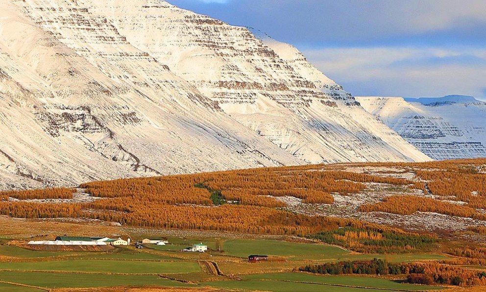 Neðri-Ás I í Hjaltadal í haustlitunum. MYND: ÓAB