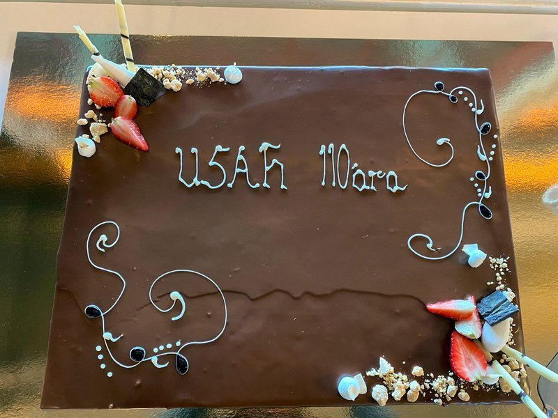 Afmælistertan rétt áður en þingmenn gerðu hennig góð skil.