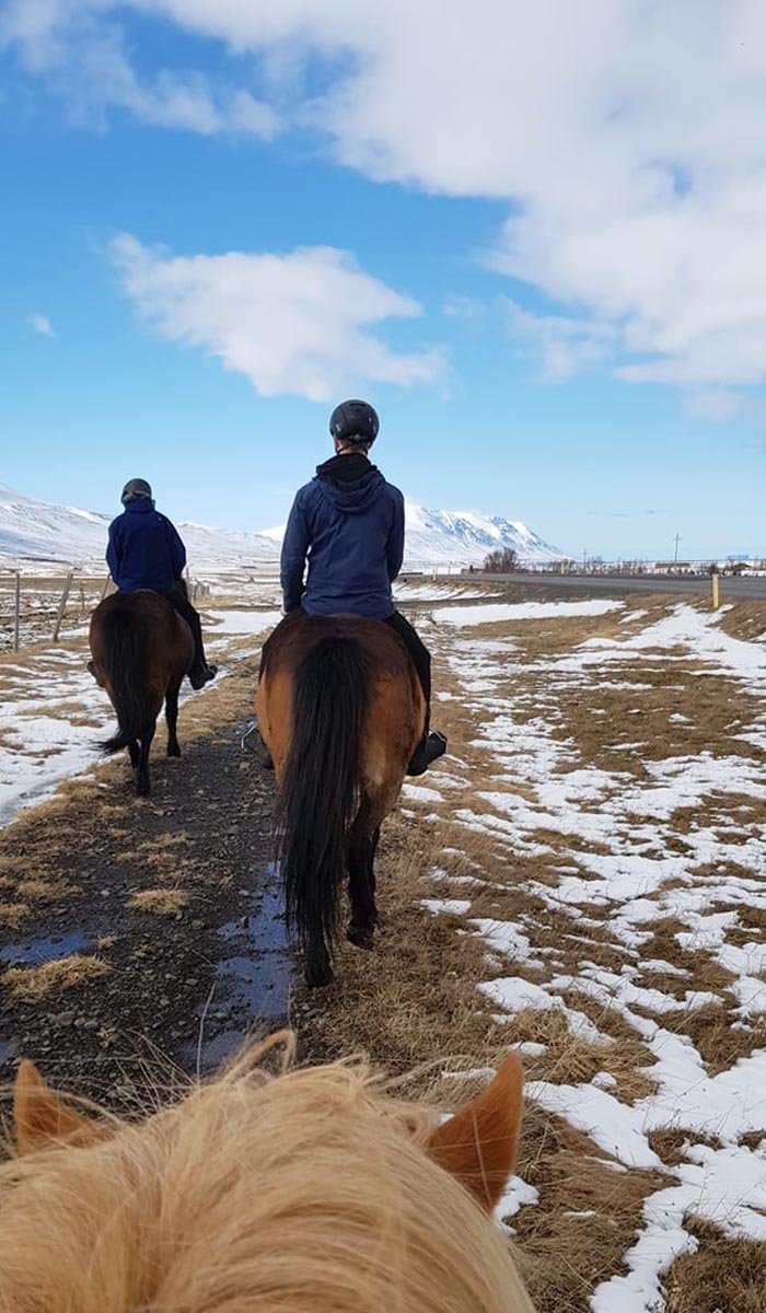 Áfram veginn. Myndina tók Sigfús Ingi í útreiðartúr á skírdag.