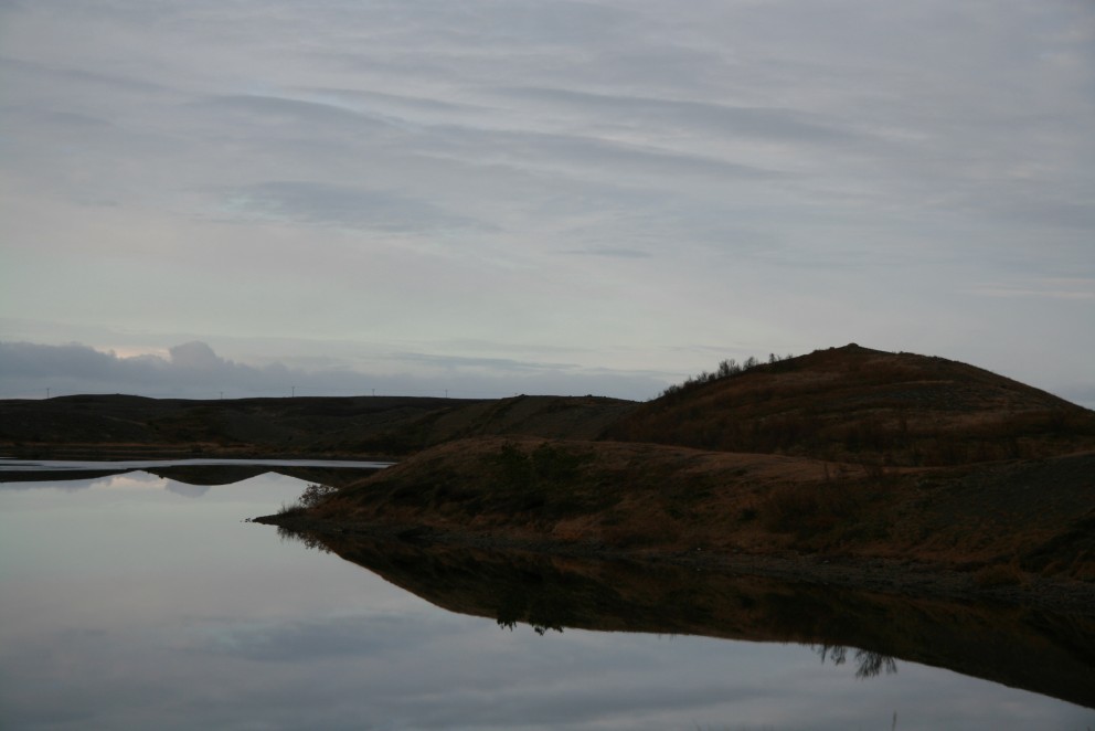 Vinir í vestri - Líf og starf meðal Vestur-Íslendinga