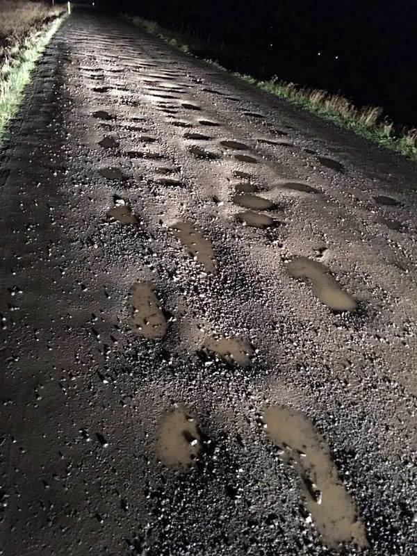 Þessa mynd af holóttum Vatnsnesvegi birtir Bjarni Jónsson á Facebooksíðu sinni.