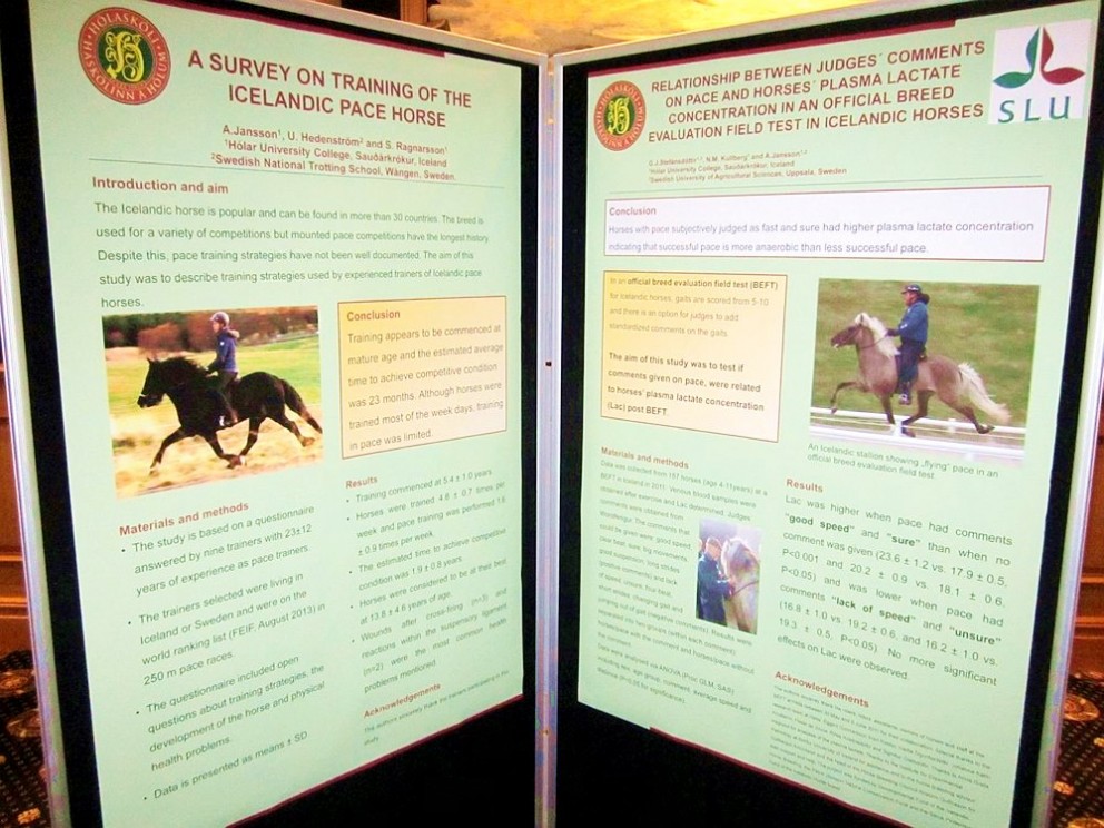 Hólaskóli tekur þátt í alþjóðlegri ráðstefnu