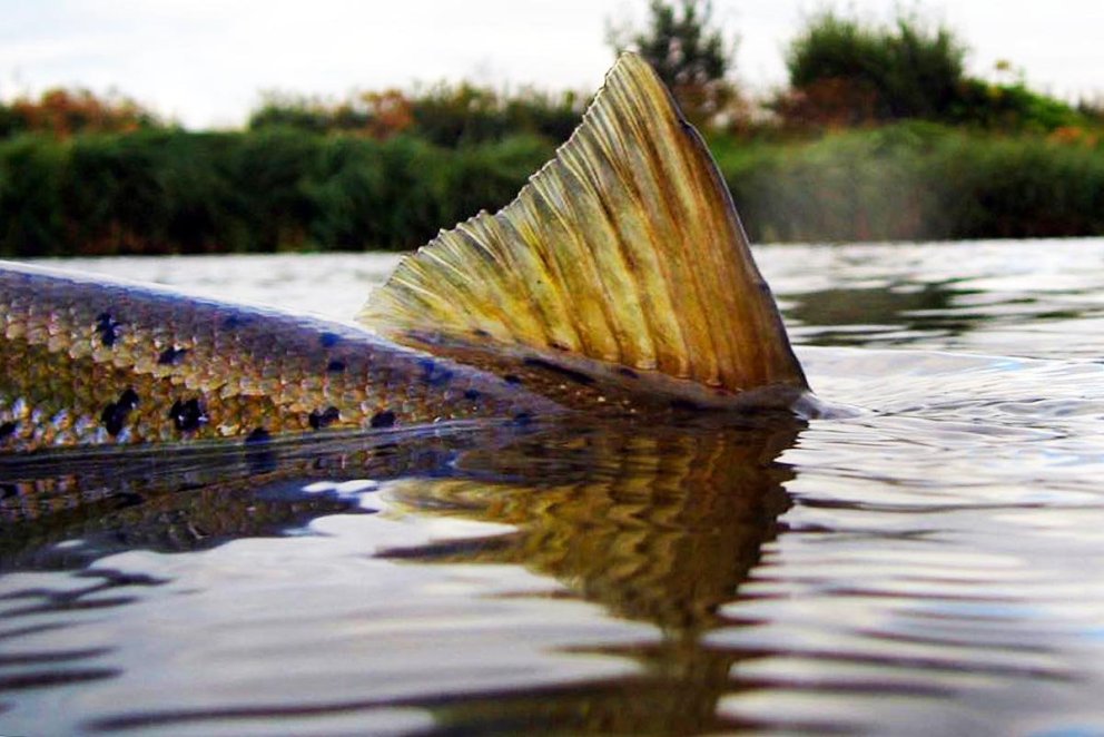Veuðimennskan er ekkert grín. MYND AF FB