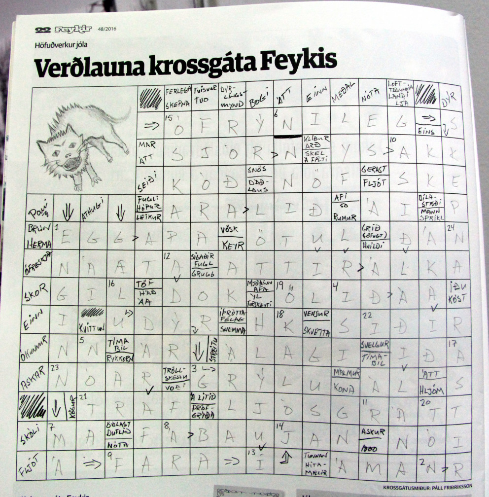 Enginn má fara í jólaköttinn.