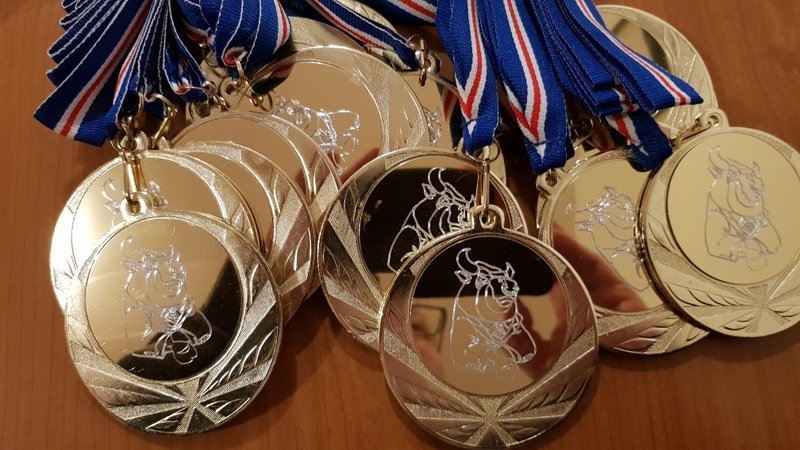 Afrakstur Jólamóts Molduxa sem ekki fór fram rúm hálf milljón