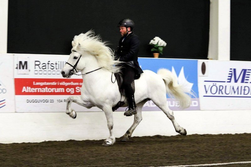 Mynd af FB-síðu Skagfirðings.