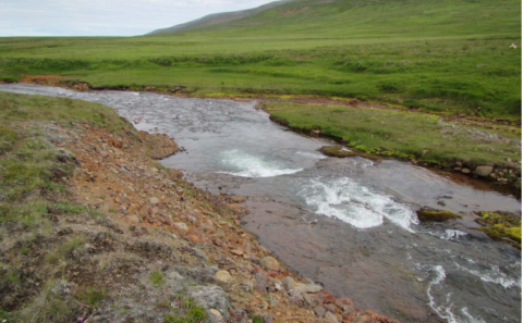 Bergá á Víðidalstunguheiði. Mynd: hunathing.is