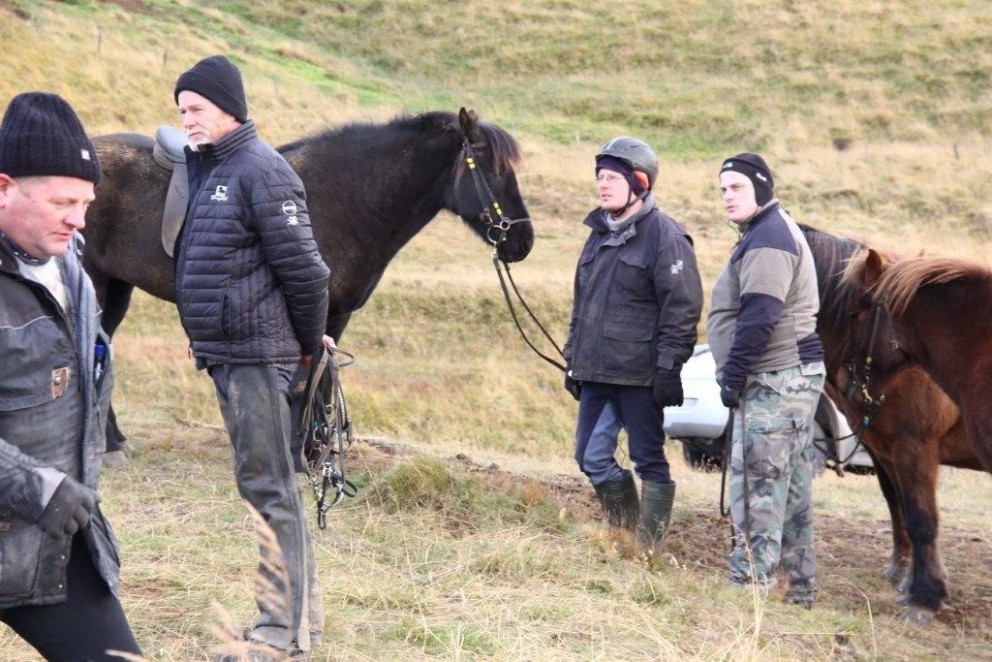 Frá stóðréttum í Víðidalstungurétt 3. október 2015. Ljósm./Anna Scheving.