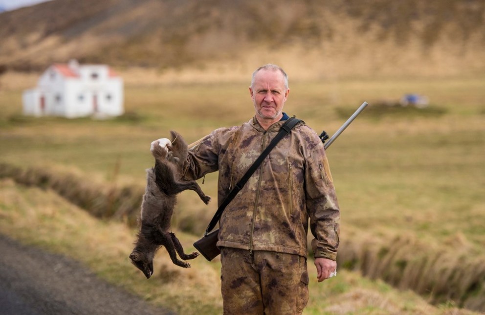 Tófa felld við Flúðabakka