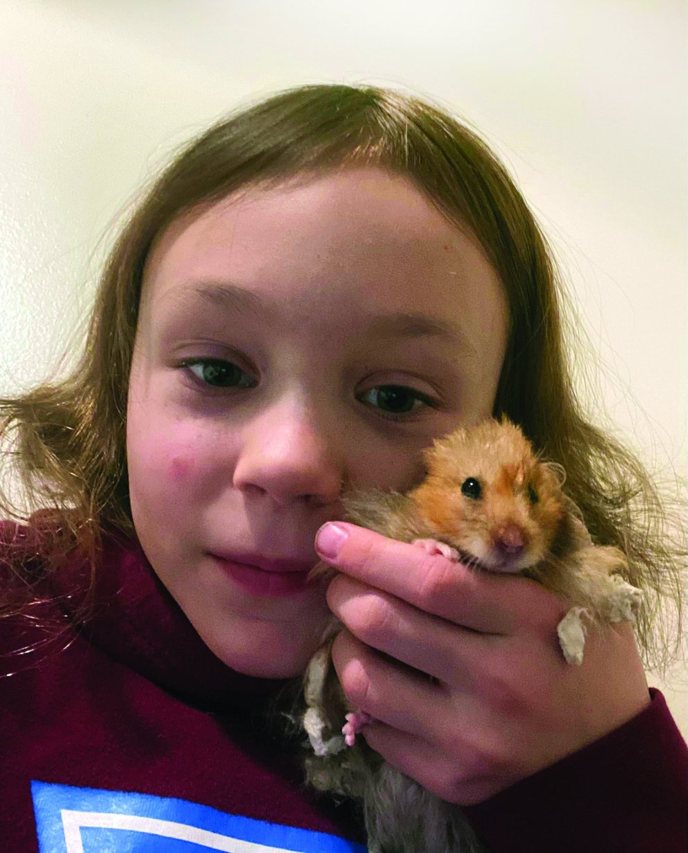 Viktoría Rán knúsar hamsturinn Dúllu. AÐSEND MYND