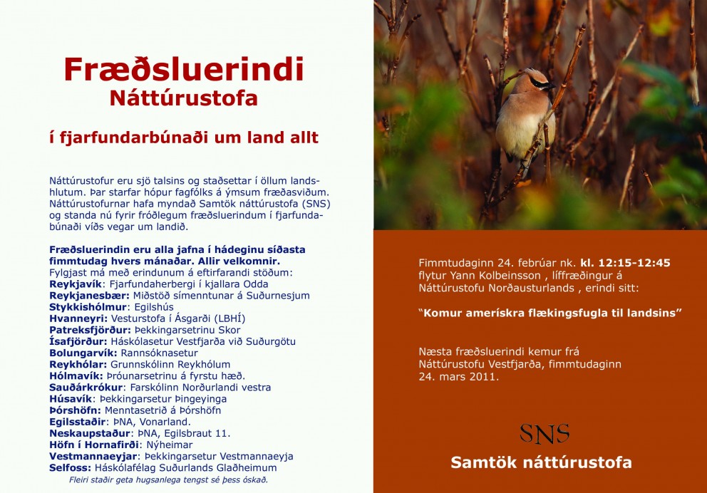 Amerískir flækingsfuglar