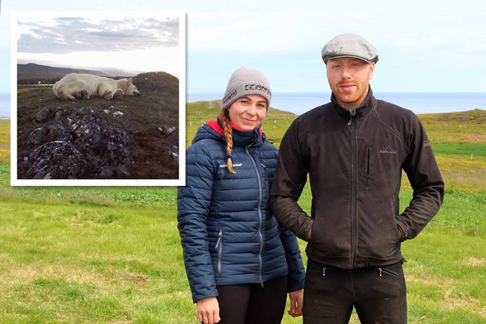 Karítas Guðrúnardóttir og Egill Þórir Bjarnason, ábúendur á Hvalnesi á Skaga. Mynd: KSE.
Á innfeldu myndinni er bjarndýrið fallið í valinn í Höfðanum þar sem þess varð fyrst vart. Mynd: KG