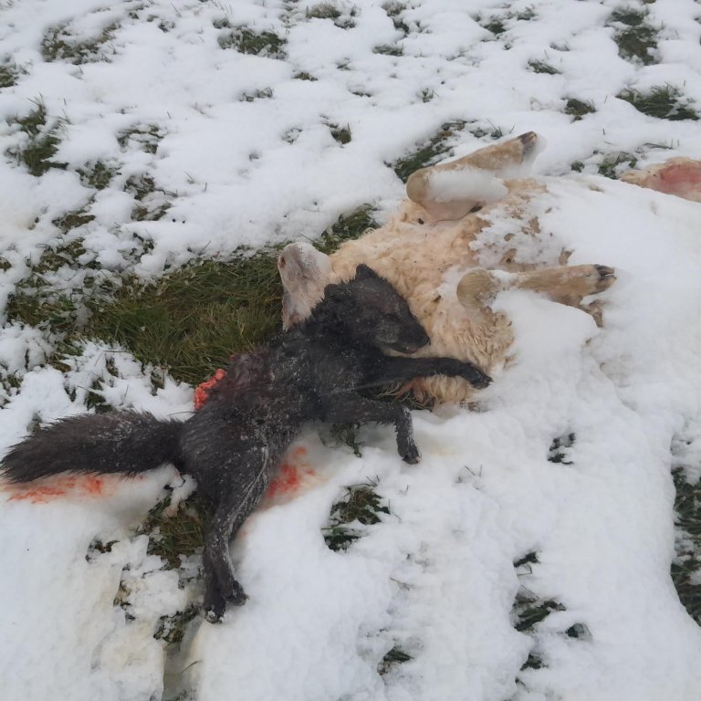 Þarna töpuðu tveir. MYND KÁRI GUNNARS.