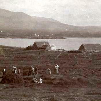 Heyskapur á Hólanesi 1904. Myndin flokkast undir óþekkta afhendingu hjá Héraðsskjalasafni Austur-Húnavatnssýslu.