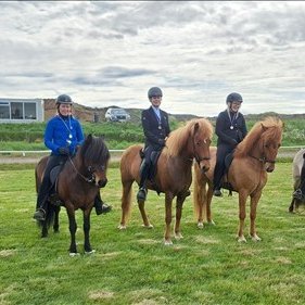 Hér má sjá 5 efstu í Gæðingatölti hjá Neista. Mynd:neisti.net.