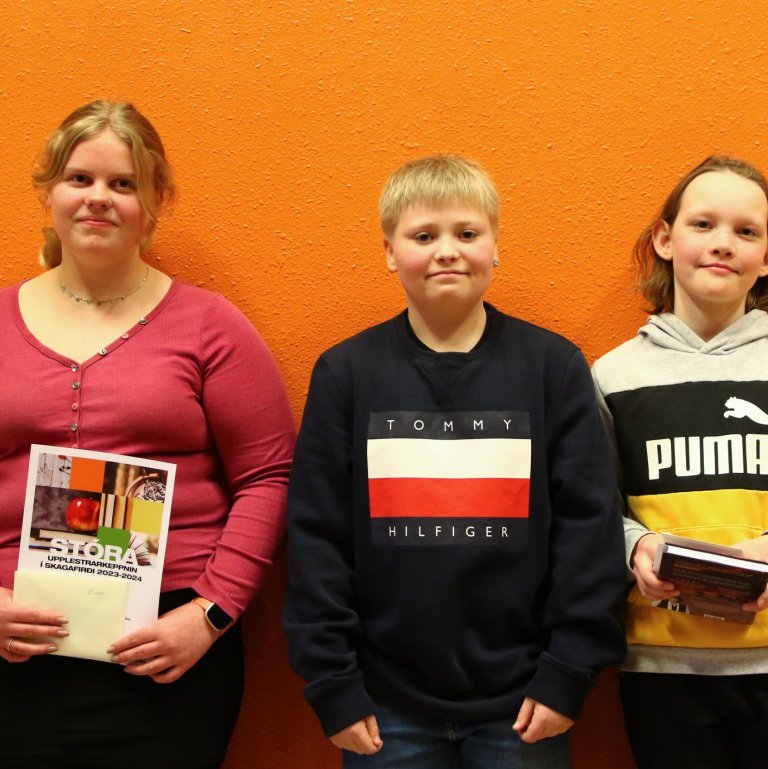 Heiðdís Rós Hafrúnardóttir, Björgvin Skúli Hauksson og Sigmar Þorri Jóhannsson.MYND JÓHANN HELGI SIGMARSSON