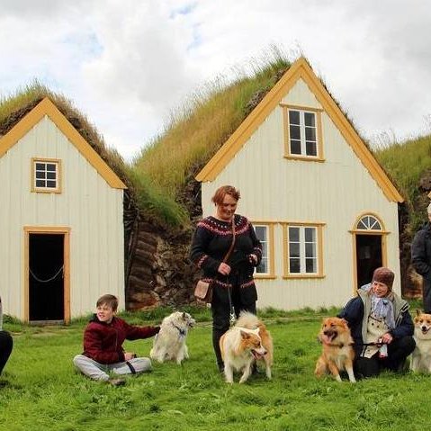 Íslenski fjárhundurinn kíkti í heimsókn í Glaumbæ. Myndir: FB/Byggðasafn Skagfirðinga