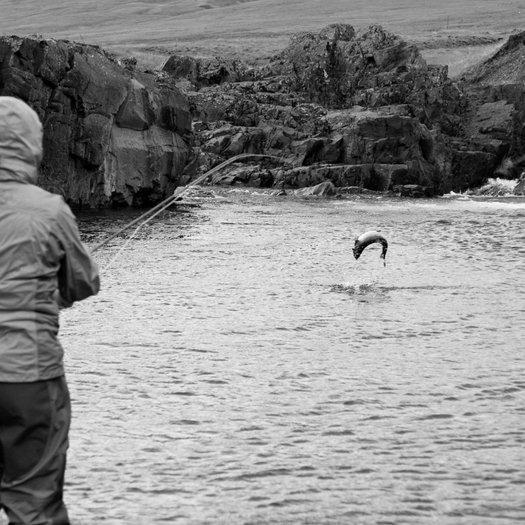 Mynd af midfjardara.is