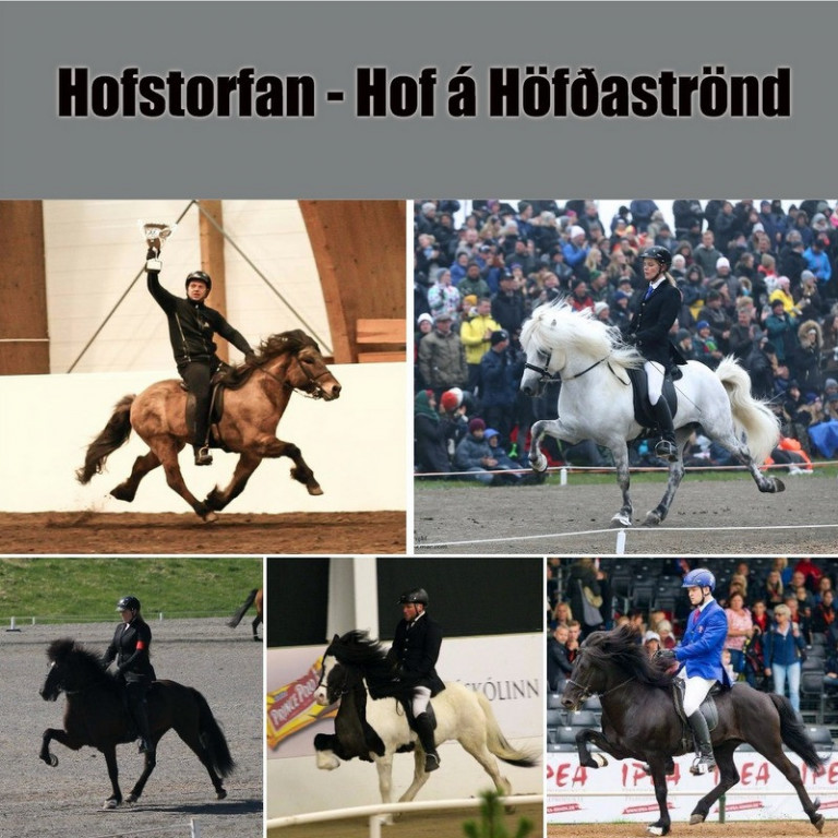 Meistaradeild KS 2018 - Lið Hofstorfunnar