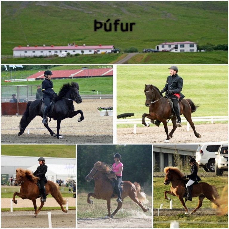 Meistaradeild KS 2018 – Liðskynning Þúfur